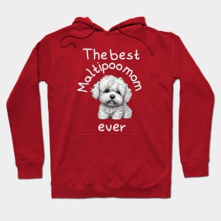 Funny Best Maltipoo dog mom Ever Hoodie